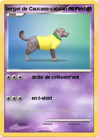 Pokemon berger de Caucase-catalan mix t-shirt