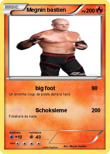 Pokemon Megnin bastien