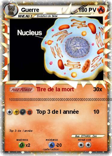Pokemon Guerre