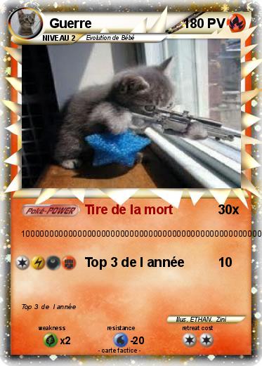 Pokemon Guerre