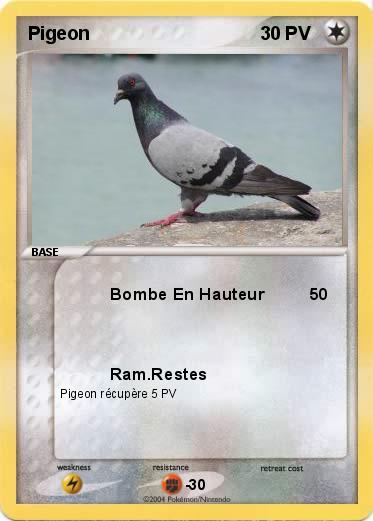 Pokemon Pigeon