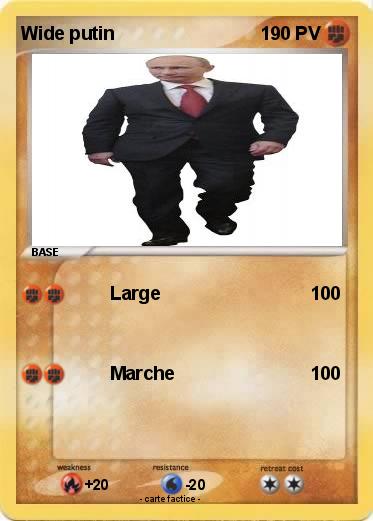 Pokemon Wide putin