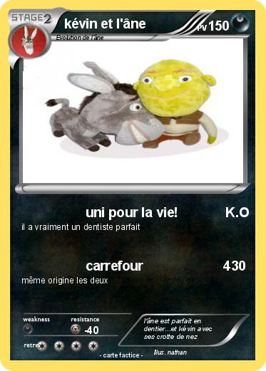 Pokemon kévin et l'âne