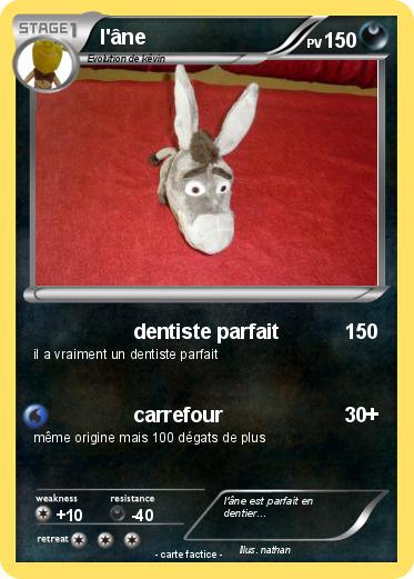 Pokemon l'âne