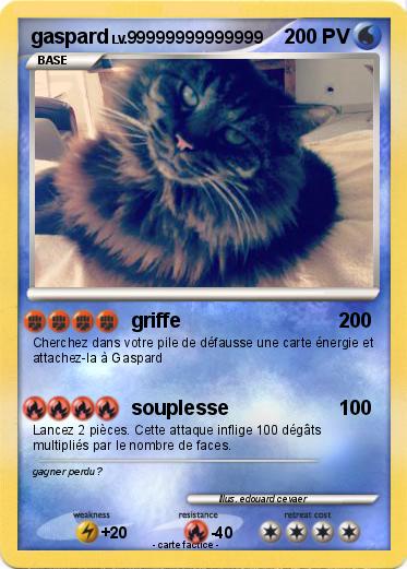 Pokemon gaspard