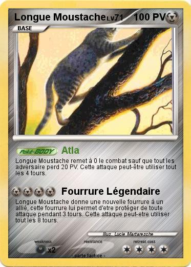 Pokemon Longue Moustache