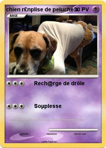 Pokemon chien r£nplise de peluche s