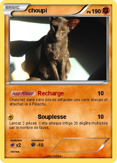 Pokemon choupi