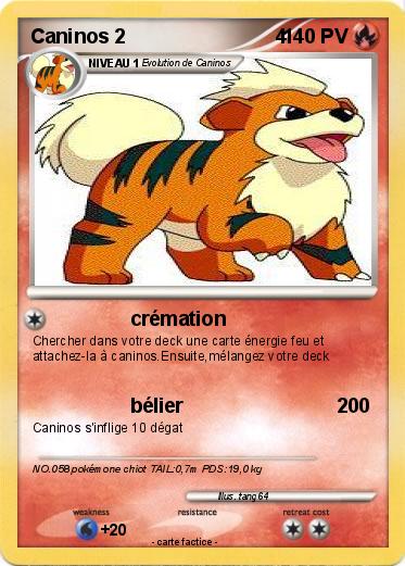 Pokemon Caninos 2                           4