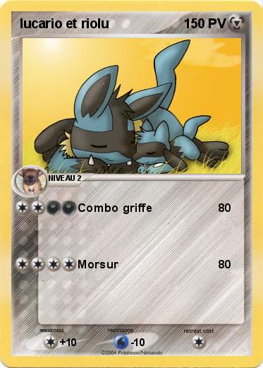Pokemon lucario et riolu