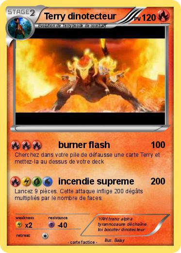 Pokemon Terry dinotecteur