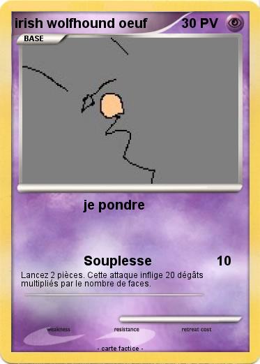 Pokemon irish wolfhound oeuf