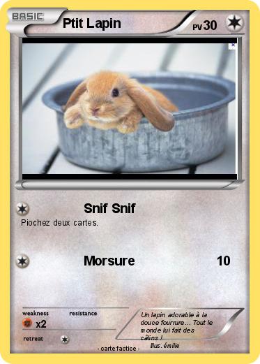 Pokemon Ptit Lapin