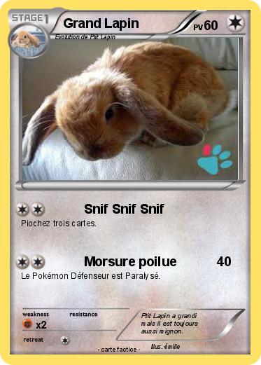 Pokemon Grand Lapin