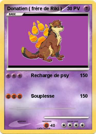 Pokemon Donatien ( frère de Riki )
