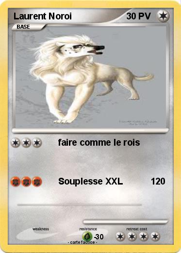 Pokemon Laurent Noroi