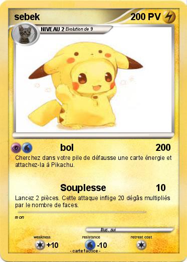 Pokemon sebek