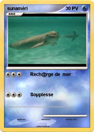 Pokemon sunaméri