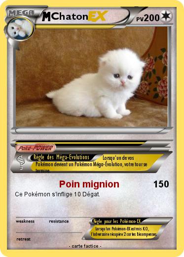 Pokemon Chaton