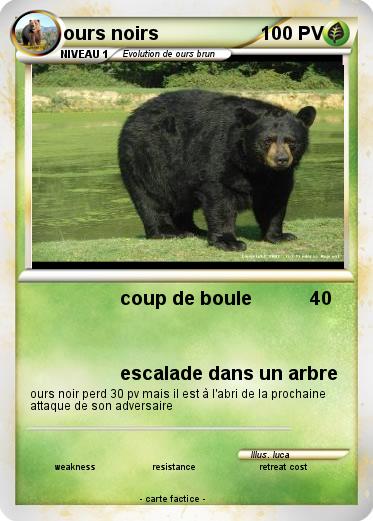 Pokemon ours noirs