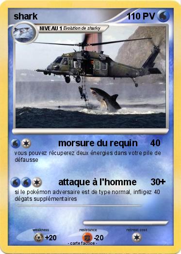Pokemon shark