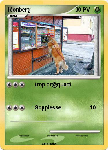 Pokemon léonberg