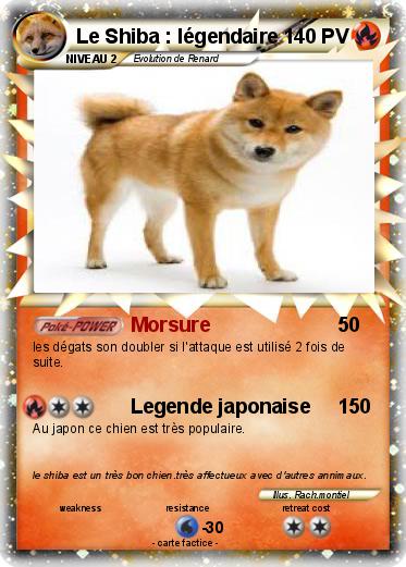 Pokemon Le Shiba : légendaire