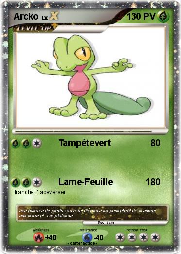 Pokemon Arcko