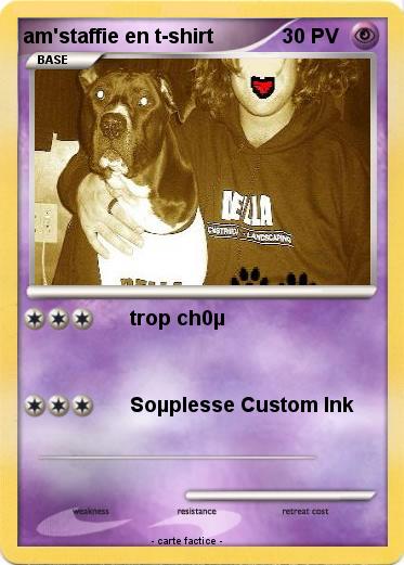 Pokemon am'staffie en t-shirt