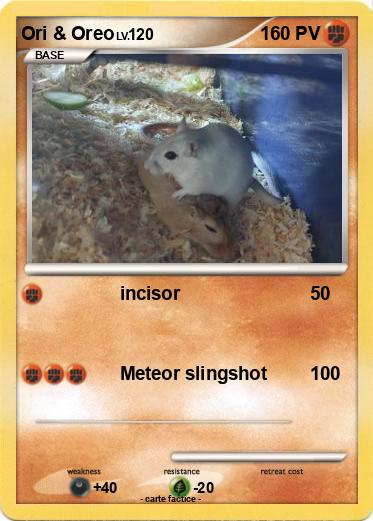 Pokemon Ori & Oreo