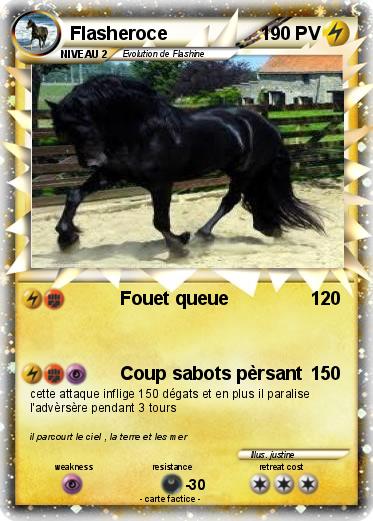 Pokemon Flasheroce