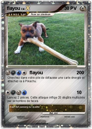 Pokemon flayou