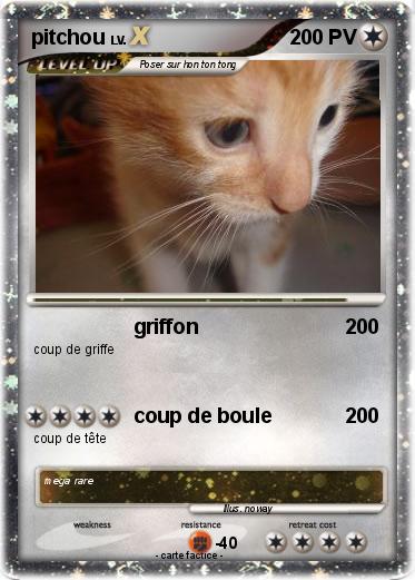 Pokemon pitchou