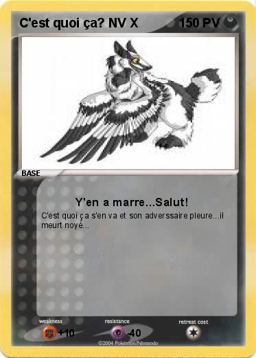 Pokemon C'est quoi ça? NV X
