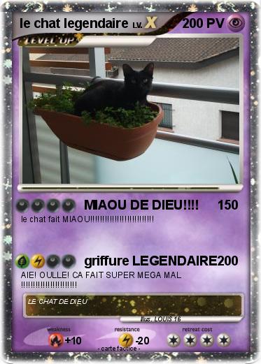 Pokemon le chat legendaire