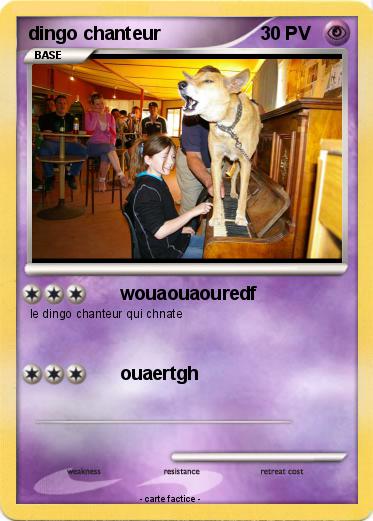 Pokemon dingo chanteur