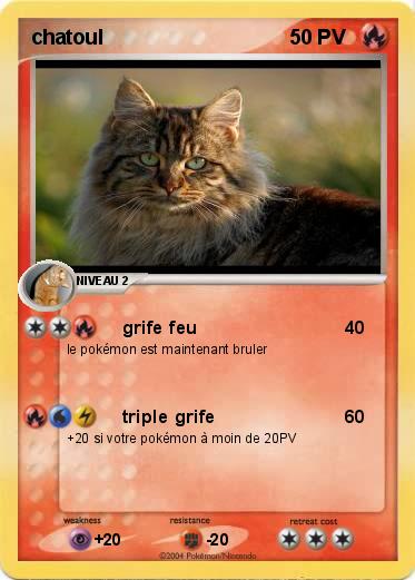 Pokemon chatoul