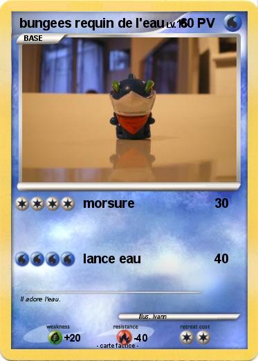 Pokemon bungees requin de l'eau