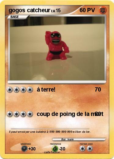 Pokemon gogos catcheur