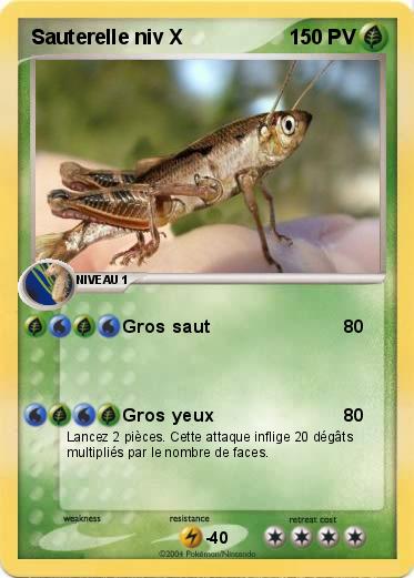 Pokemon Sauterelle niv X