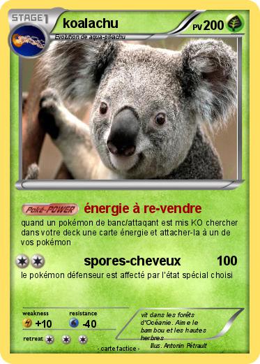 Pokemon koalachu