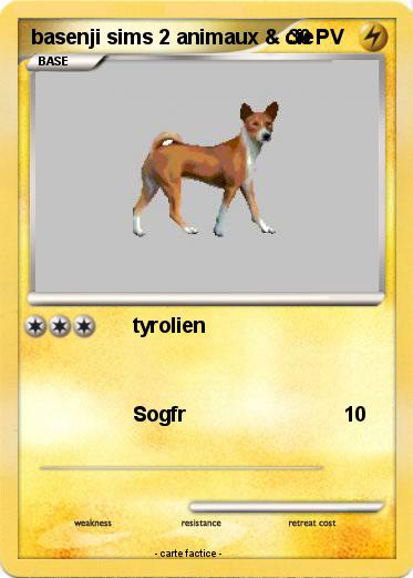 Pokemon basenji sims 2 animaux & cie