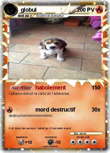 Pokemon globul