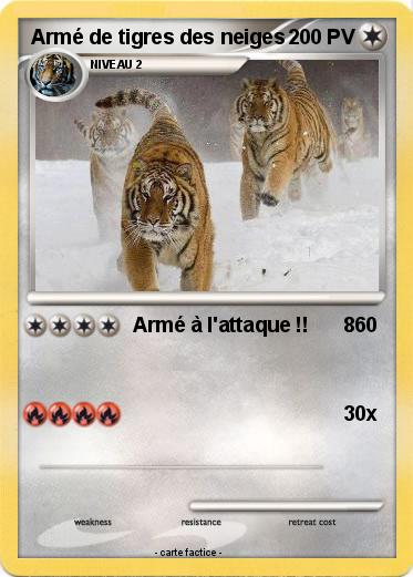 Pokemon Armé de tigres des neiges