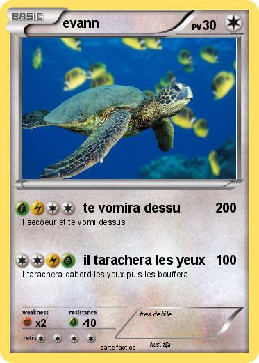 Pokemon evann