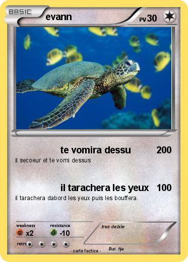Pokemon evann