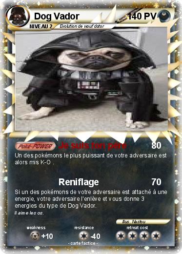 Pokemon Dog Vador