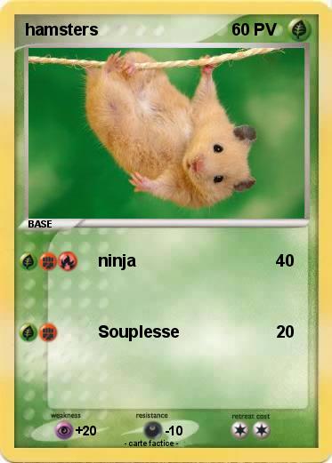 Pokemon hamsters