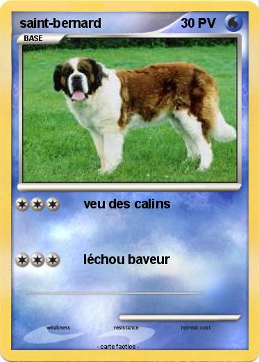 Pokemon saint-bernard