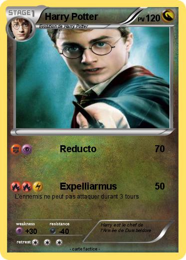 Pokemon Harry Potter